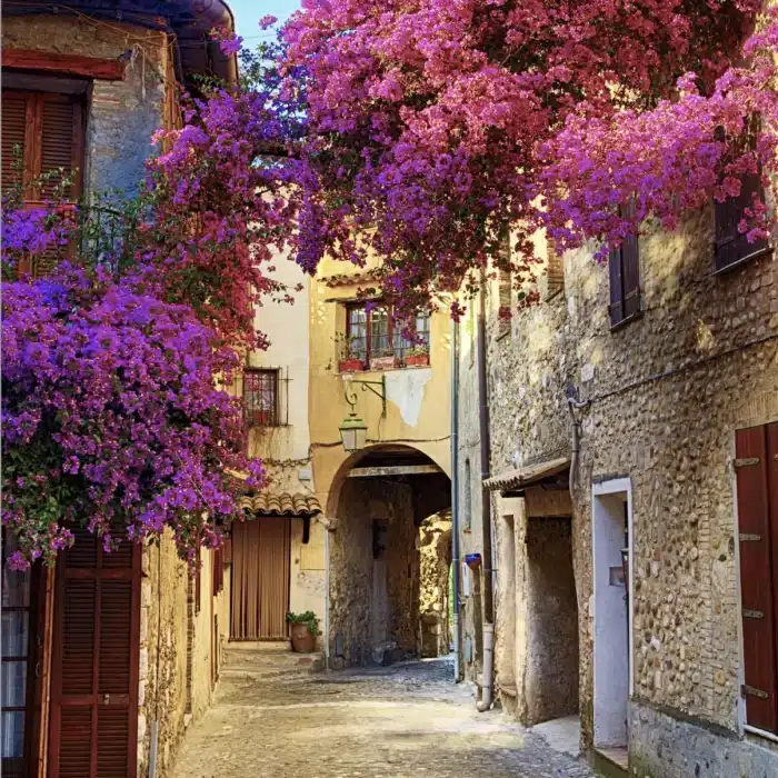 A quiet, romantic street in the charming french area of Provenance, France.